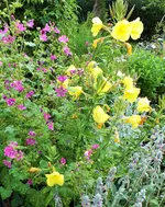 DSCF9379 (2).webp