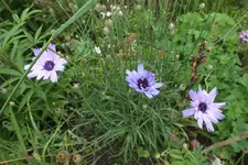 DSCF9384.webp