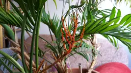 20170713_104252.webp