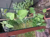 20170713_131614.webp