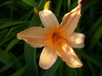DSCI0444.webp