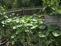 BILD7524.webp