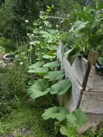 BILD7525.webp
