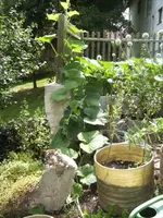 BILD7529.webp