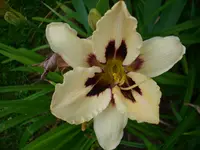 DSCI0447.webp