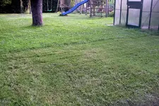 IMGP1333.JPG