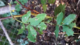 20170713_164455.jpg