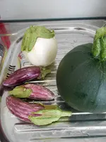 DSCN5569.webp
