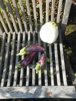 DSCN5568.webp