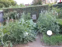 DSCN5527.webp