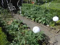 DSCN5408.webp