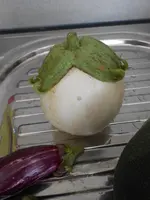 DSCN5571.webp