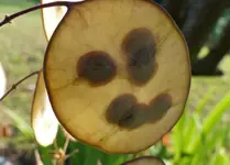 P1000280.webp