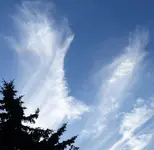 P1000282.webp
