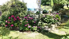 P1000240.webp