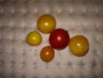 IMG_20170710_170010.jpg