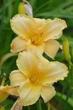 unbeakannt5.webp