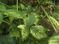 BILD7605.webp