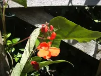 BILD7581.webp