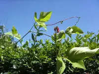 BILD7580.webp
