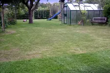 IMGP1335.webp