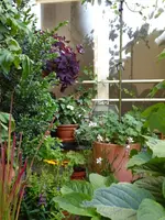 P1020210.webp