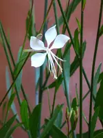 P1020217.webp