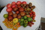 August0408a.jpg