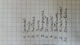 20170715_161547.webp