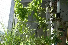 B010.webp