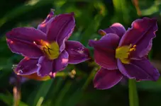 apresmoi.webp