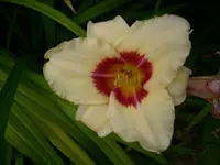 DSCI0459.webp