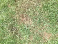 IMG_2304.webp