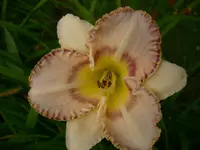 DSCI0464.jpg