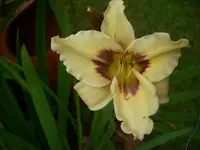 DSCI0465.webp
