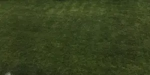 FullSizeRender_1.jpg