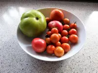 DSC01056.webp