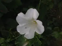 2017-07-11_19-12-43_972.jpg