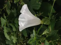 2017-07-11_19-12-54_124.jpg