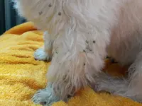20170716_101437.webp