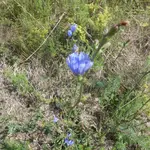 P1010025.webp