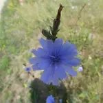 P1010026.jpg