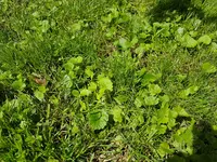 20170716_114252.webp