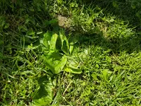 20170716_114241.webp