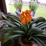 20170716_131414.webp