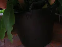 DSCF5792.webp