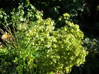 DSCN9327.webp