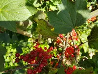 20170713_171252.jpg
