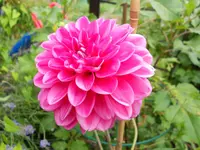 DSCN0025.webp