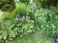 DSCN0049.webp